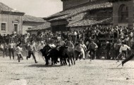Foto de mayorganos arreando el ganado en las fiestas de Mayorga