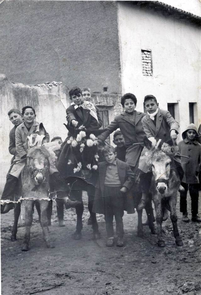 Foto de la celebración de San Antón en Mayorga