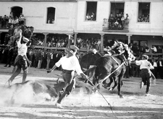 Foto de mulilleros en Mayorga 1965
