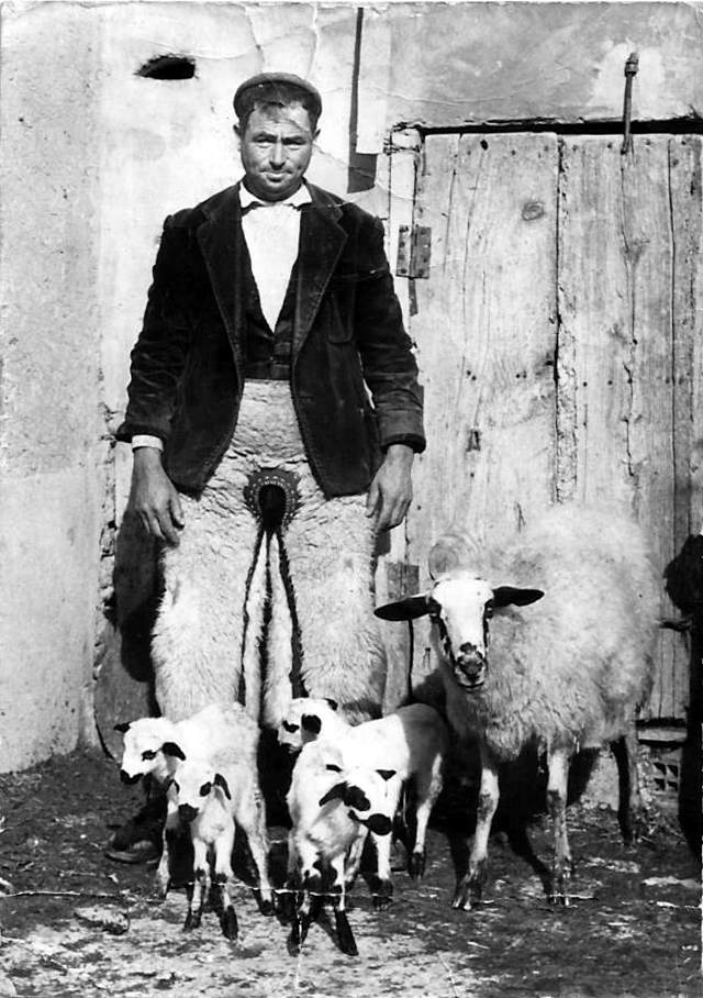 Foto de Pablo de la Viuda con una oveja con cuatro corderos 1970