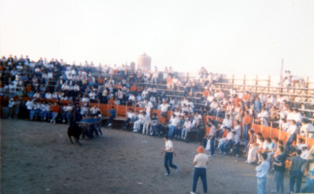 Plaza toros Mayorga cesto 1990