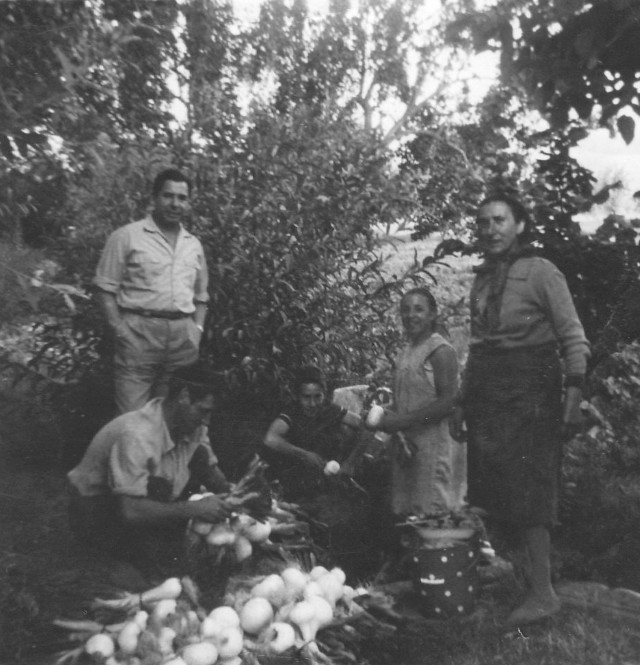 Cinco hortelanos de Mayorga lavando cebollas