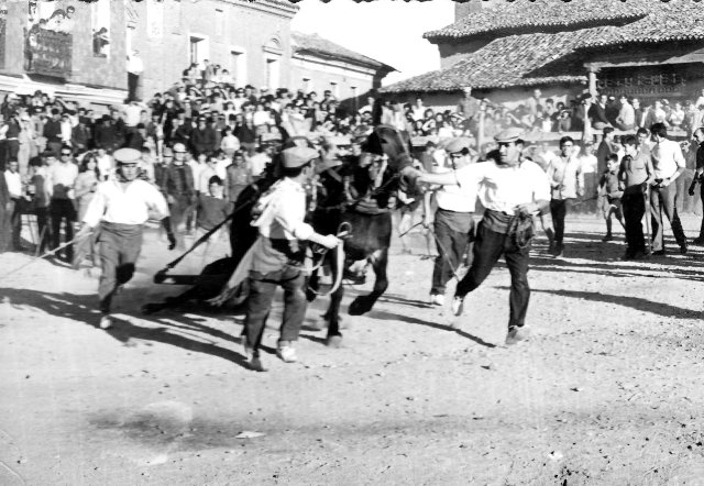 Foto de los mulilleros de Mayorga en 1968