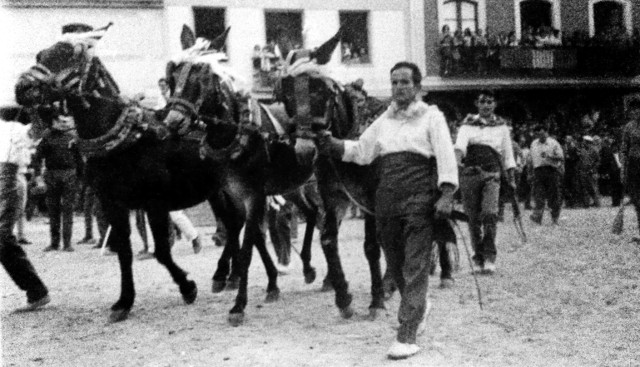Foto de los mulilleros de Mayorga en 1970
