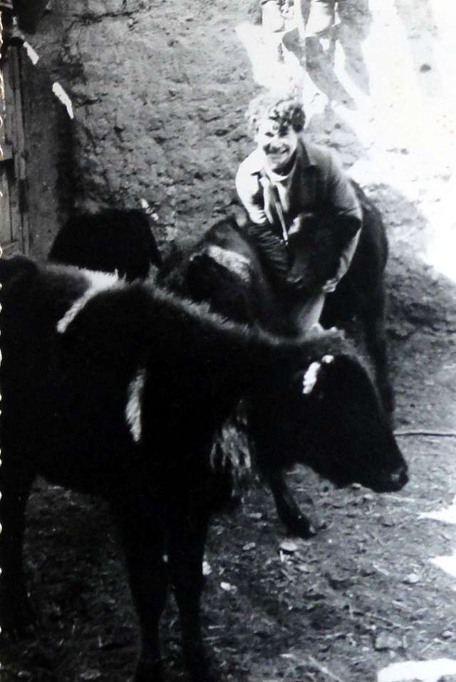 Francisco Trigueros Rodríguez con los becerros